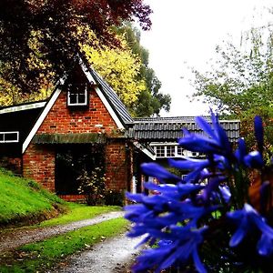 Waitati Arden Country House B&B Exterior photo