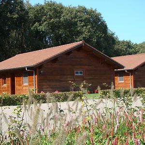 Boekel Chalet De Voetpomp 빌라 Exterior photo