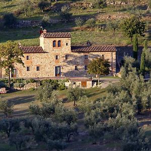 콰라타 Agriturismo San Martino 게스트하우스 Exterior photo