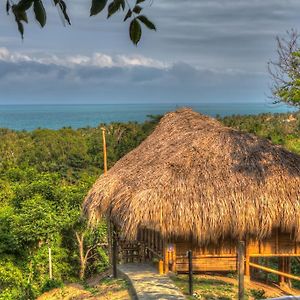 Villa Maria Tayrona, Jungle And Sea Experience 로스나란조스 Exterior photo