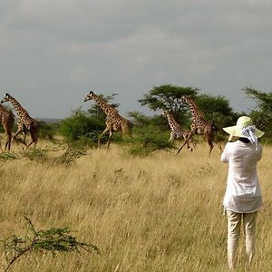 Maasai Simba Camp 호텔 암보셀리 Exterior photo