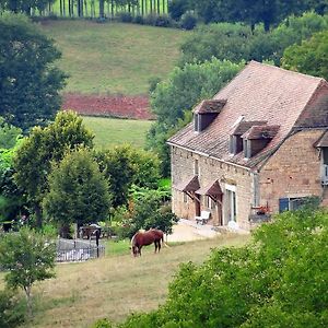 Nailhac Le Domaine Du Cerneau B&B Exterior photo