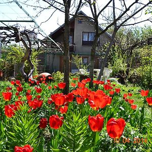 Milorava'S Guest House & Wine Cellar 텔라비 Exterior photo