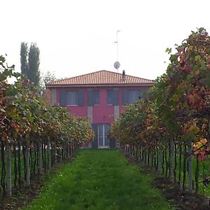 Sala Bolognese Agriturismo Fondo Gesu 빌라 Exterior photo