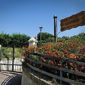 Eco-Bio Agriturismo Santacinnara Soveria Simeri Exterior photo