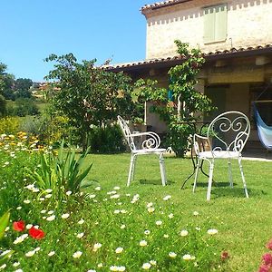 Tavoleto Poggio Dei Prugnoli B&B Exterior photo