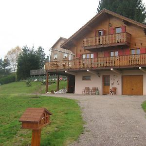 Chalet Gerardmer Situe A Le Tholy 호텔 Exterior photo