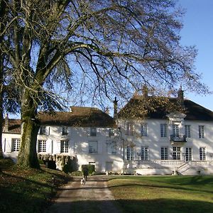 Le Chateau De Prauthoy B&B Exterior photo