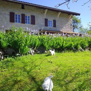 Chevillard Chambre D'Hotes La Haie Fleurie B&B Exterior photo