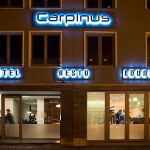 Hotel Carpinus 루벤 Exterior photo