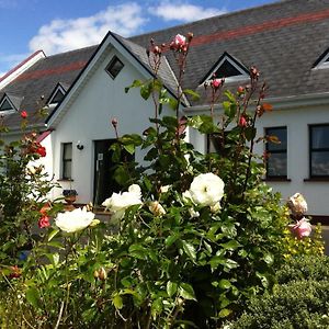 Coonagh Lodge B&B Limerick Junction Exterior photo