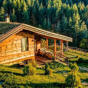 Panorama Haus Lesten I Eko Kesti Dervena I Zemlyanka Exterior photo