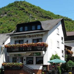 Pension / Ferienwohnungen Scheid 케스터트 Exterior photo