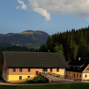 Ferienstadl - Hammerau 거스텔링안더얍스 Exterior photo