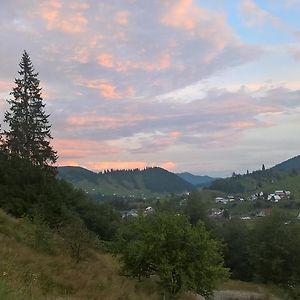 Vila Bucovina 호텔 Ciocanesti Exterior photo