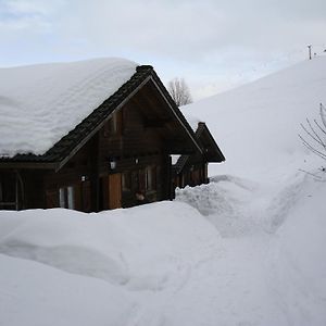 Ferienwohnungen Im Blockhaus Metzler 슈바르첸베르크 임 브레겐처발트 Exterior photo