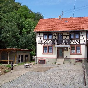 Mörlenbach Pferdehof Und Wanderreitstation Doersam 빌라 Exterior photo