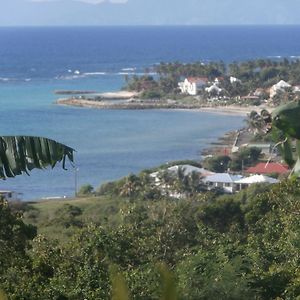 Villa Alizea Capesterre Exterior photo