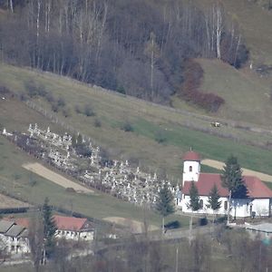 Sita Buzăului Pensiunea Margareta 빌라 Exterior photo