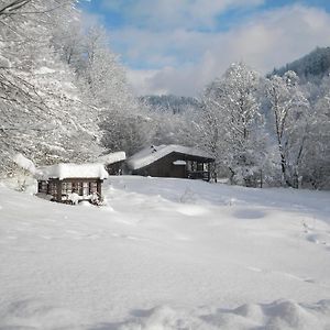 즈데니에보 Chalet Kukavica 빌라 Exterior photo