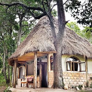 마사이마라 House In The Wild 게스트하우스 Exterior photo