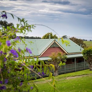 Central Tilba The Bryn At Tilba B&B Exterior photo