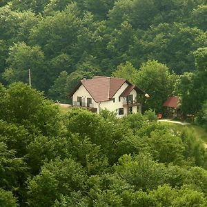 Pensiunea 7 Brazi 호텔 Poiana Mărului Exterior photo