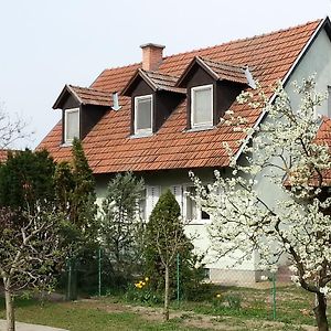 Csongrád Gyula-Tanya Vendeghaz 빌라 Exterior photo