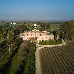 Masseria Mazzetta Salento Corte Del Falconiere B&B 살리체 살렌티노 Exterior photo