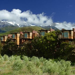 Hapuku Lodge & Tree Houses Exterior photo