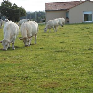 Neuvy-en-Mauges Chambre D'Hotes La Basse Gougeonniere B&B Exterior photo