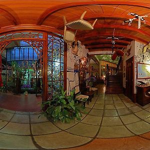 Corteza Amarilla Art Lodge Spa 산호세 Exterior photo