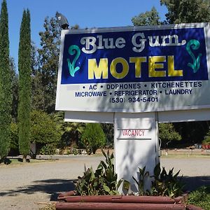 Blue Gum Motel 윌로즈 Exterior photo