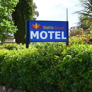 Wattle Grove Motel 메리버러 Exterior photo