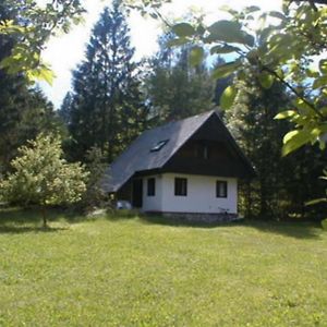 Apartmaji In Sobe Bohinjsko Jezero 호텔 우칸크 Exterior photo