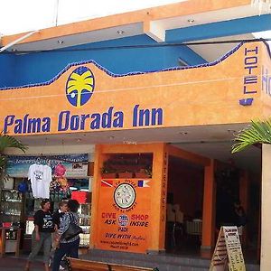 Palma Dorada Inn 코수멜 Exterior photo