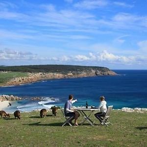 Waves And Wildlife 호텔 Stokes Bay Exterior photo