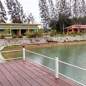 Suratthani Airport Resort 수랏타니 Exterior photo