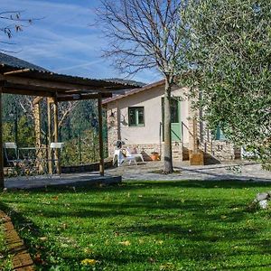 Serra San Quirico Le Voltarelle Bed & Breakfast B&B Exterior photo