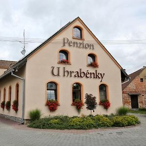 Penzion U Hrabenky Petrovice  Exterior photo