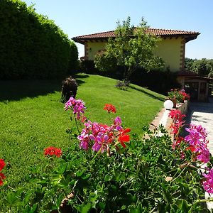 Ornaro Tenuta La Ginestra B&B Exterior photo