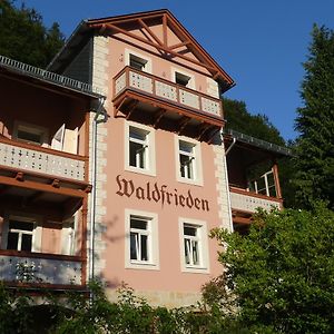 Bio-Hotel Villa Waldfrieden 바트샨다우 Exterior photo