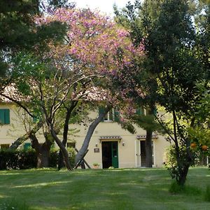 Scapezzano Locanda Strada Della Marina B&B Exterior photo