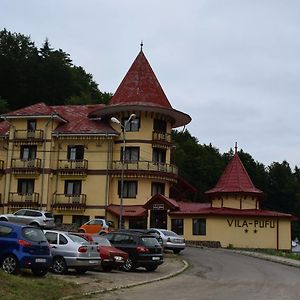 Vila Pufu 호텔 슬래닉몰도바 Exterior photo