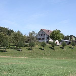 Schneisingen Bnb Im Waldhof B&B Exterior photo