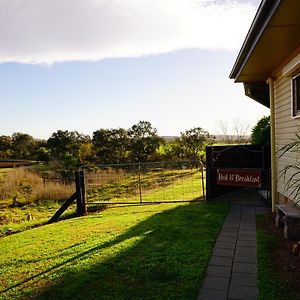 Muswellbrook Northside Bed & Breakfast B&B Exterior photo