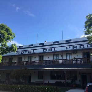 Hotel Del Prado 누에바 엘베시아 Exterior photo