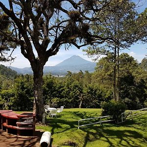 El Tejar Bosque Macadamia B&B Exterior photo