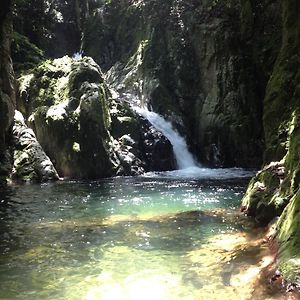 Ebano Verde Waterfall And Ecolodge 자라바코아 Exterior photo