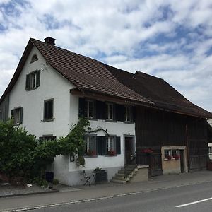 Airport Zuerich Elwiras B & B Lufingen Exterior photo